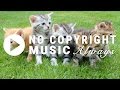 Sneaky Snooper by Audionautix [No Copyright Music]