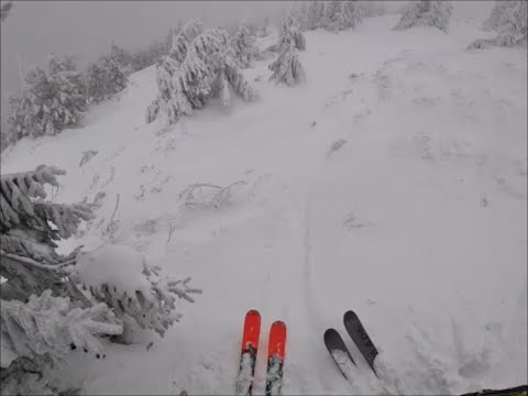 Shelby Merry - When the night is long (The Final Space)(Surday remix)