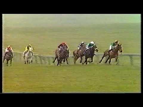 1984 Christie's Foxhunter Chase Challenge Cup