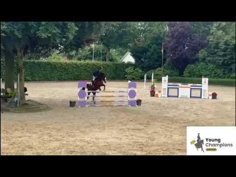 Roodkapje Z