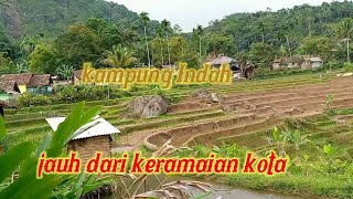 Download lagu LUARBIASA !! Aktivitas Warga Di Kampung Terpencil. Indah Dan Sejuk.Pedesaan Jawa Barat mp3