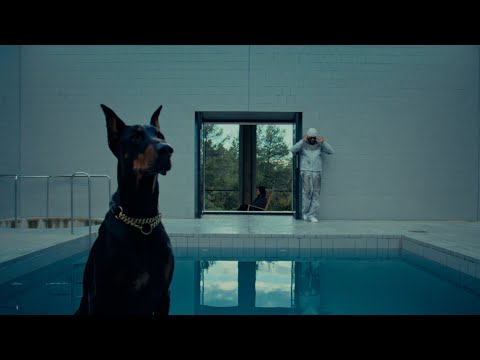 Zed - Nephilim (Clip Officiel)