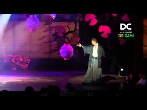 ORIGAMI ILLUSION  by DAVID CLIMENT