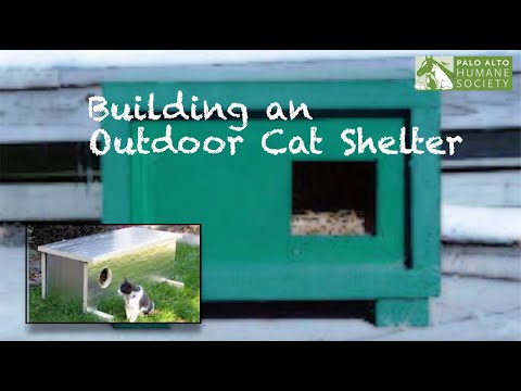 Building an Outdoor Cat Shelter