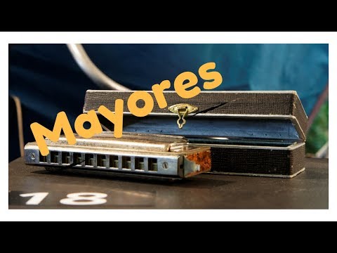 Harmonica Cover | Becky G - Mayores ft.  Bad Bunny | Pranav Pandya