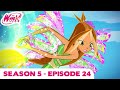 Winx Club - FULL EPISODE | Saving Paradise bay | Season 5 Episode 24