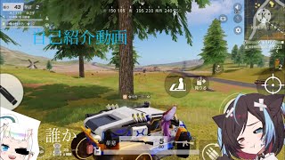 自己紹介動画(誰かさんのためにやった)
