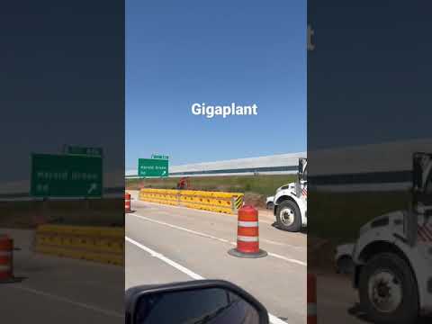 Texas Gigaplant