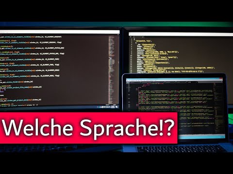C#, Java, Python oder JavaScript? Welche Sprache soll ich lernen?