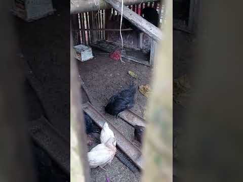 CRAFTING MOVEMENTS IN SOUL-MAKING .