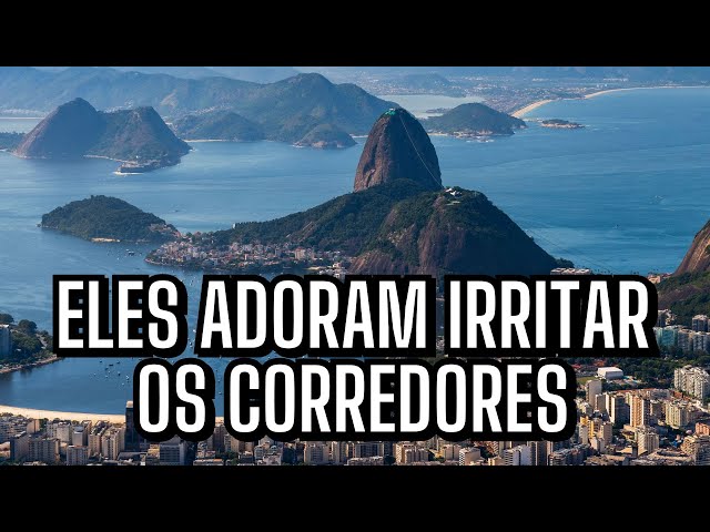 Por que a Maratona do Rio faz isso com a gente?