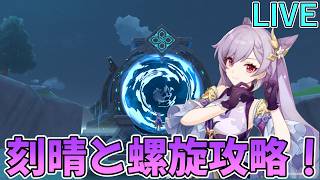 【原神】新螺旋攻略＆幽境の激戦残るトカゲをしばいたんねん【Genshin Impact】