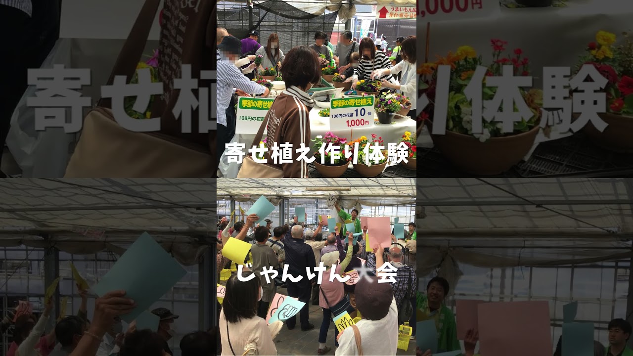 【農場祭】次回開催は5/31〜6/1【農業屋】 #shorts #アジサイ #観葉植物 #多肉植物 #松阪