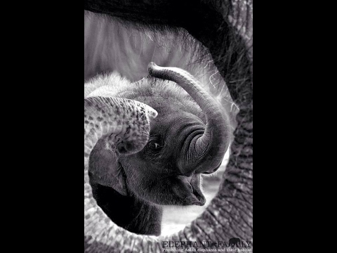 Wochenorakel vom 13. -19.02.2017 Grace by Silke Albers