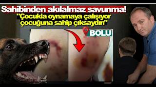 Boluda 7 Yaşındaki Çocuğu Kalçasından Belçika Kurdu Isırdı