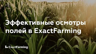 Агроскаутинг от ExactFarming - эффективный осмотр полей