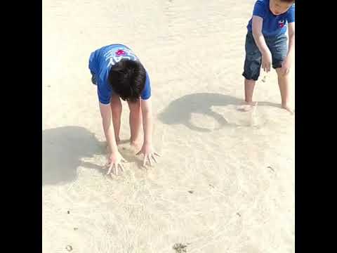 Filbert Eldrick - Pasir Putih