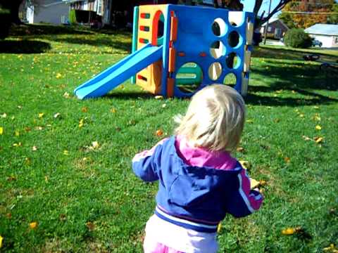 Life Lion in Liverpool pa