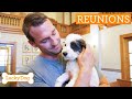 Brandon McMillan REACTS To Life Changing Support Dogs For Children Lucky Dog Reunions