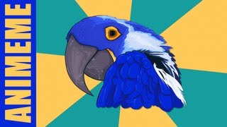 PARANOID PARROT 2