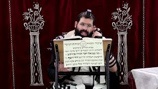 זבחים דף פ"ה ע"ב ¤ הרב נתנאל אברז'ל ¤ בית הכנסת "בית מרדכי" (מוסדות תורת דוד) - התמונה מוצגת ישירות מתוך אתר האינטרנט יוטיוב. זכויות היוצרים בתמונה שייכות ליוצרה. קישור קרדיט למקור התוכן נמצא בתוך דף הסרטון