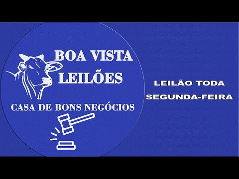 Boa Vista Leilões São Luis de Montes Belos - GO 13/04/2026