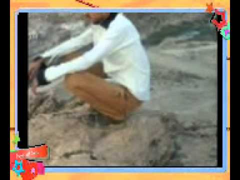 العيس العصامي تعز ماويه