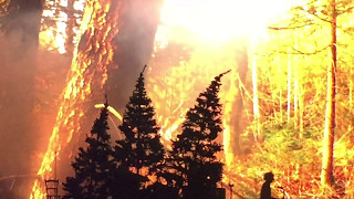 Philipp Poisel - Das kalte Herz - Prelude (LIVE)