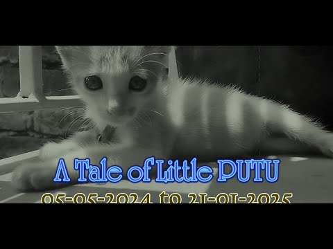 Team INNOVATION presents || A Little Life of Little Putu ||