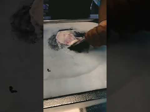 ice cream lover 💫🌹😍🤤 @sujitNaik