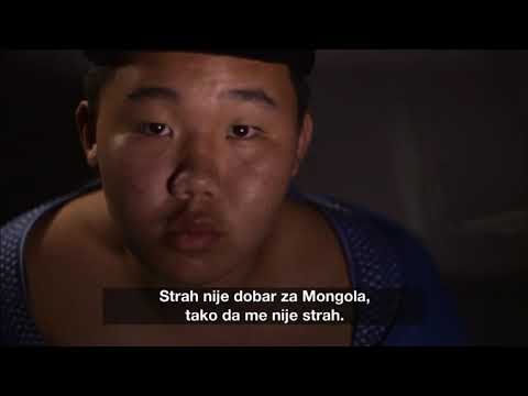 SportDoc - Stepski sumo - Nedjelja 19:05, repriza 23:05