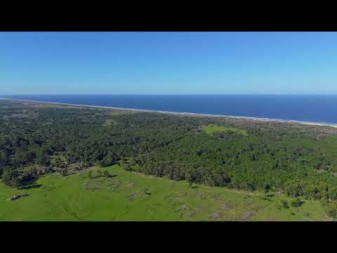 Venta de Campo Luxury en Rocha – 241 Hectáreas con 2.100 Metros frente a Costa Oceánica