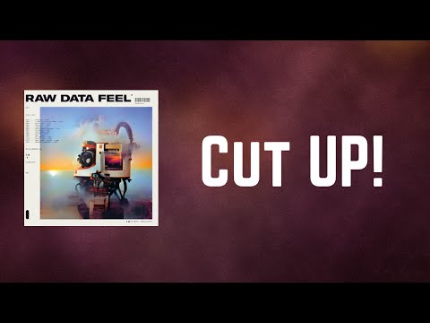 Everything Everything - Cut UP! (Lyrics)