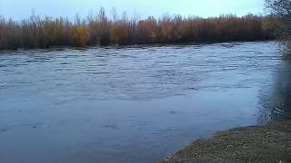 preview picture of video 'TUUL RIVER ULAANBAATAR'