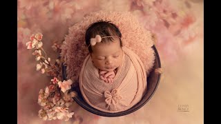 ניו בורן חדש