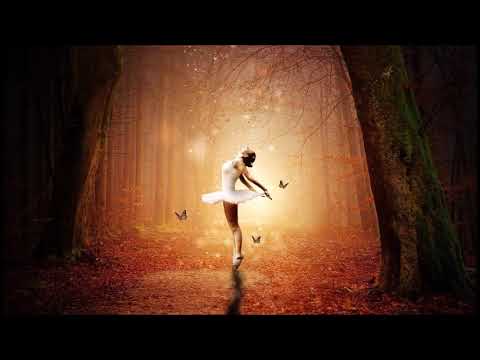 1 Hour Dance Of The Sugar Plum Fairies by Tchaikovsky - Classical Background Music