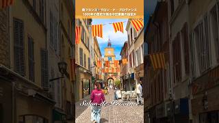 南仏🇫🇷プロヴァンス最古級の城塞が残る街/サロン・ド・プロヴァンス #フランス #プロヴァンス#プロヴァンス