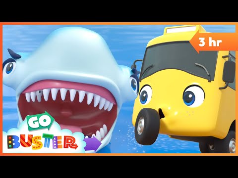 Buster and the The Wobbly Tooth Shark! Go Buster - Bus Cartoons & Kids Stories