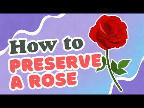 How to Preserve a Rose