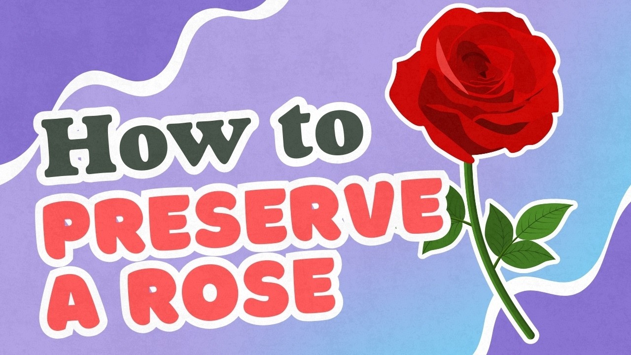 How to Preserve a Rose
