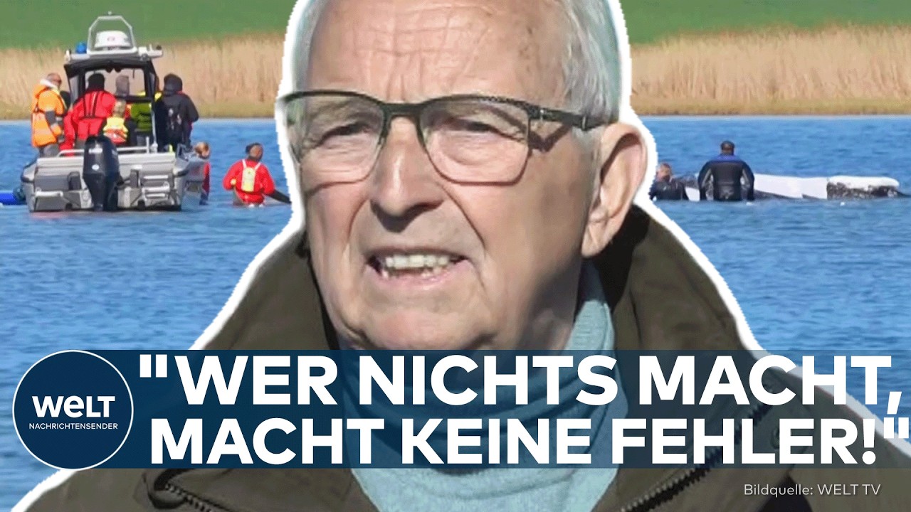 INSEL POEL: "Wer nichts macht, macht keine Fehler!" – Umweltminister riskiert alles für Wal Timmy