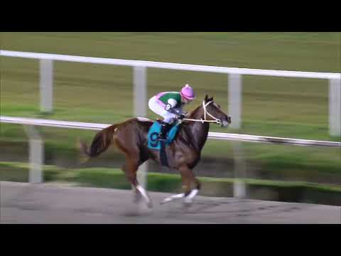 230407 c08 LINDA RUBIA (BRZ)