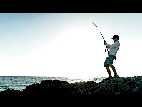 Offshore Fish Hooked from Land | Coastlines - Episode 6