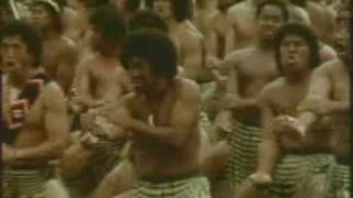 Videos Cómicos de Sexo Animal