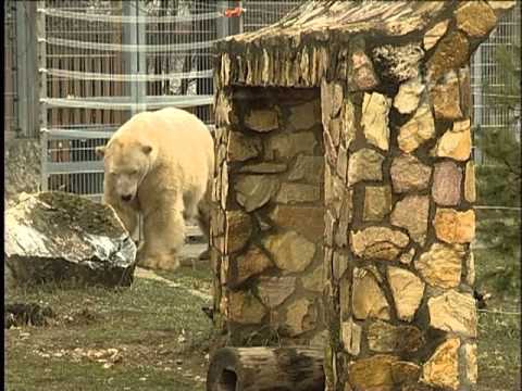 Párosan szép - Kölcsey Tv