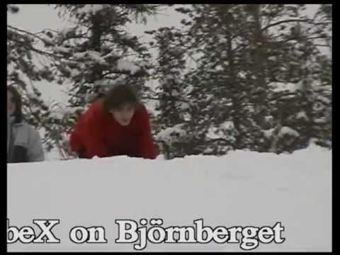 BobeX on björnberget