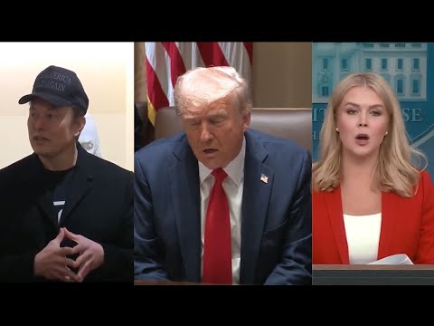 Musk: 'Best Cabinet Ever Assembled'; Leavitt on 130-Day Limit: 'Ask Me in Another 100 Days'