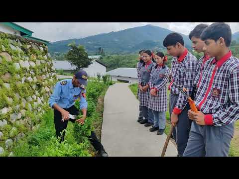 शिक्षा सप्ताह (दिन 5) - कौशल दिवस