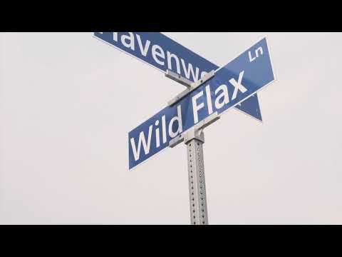 Fucc Fagsk - BG060 ft M3FrmDaTown