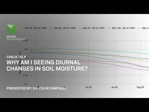 Hydraulic Redistribution - Why am I seeing diurnal changes in soil moisture?  - Chalk talk by METER